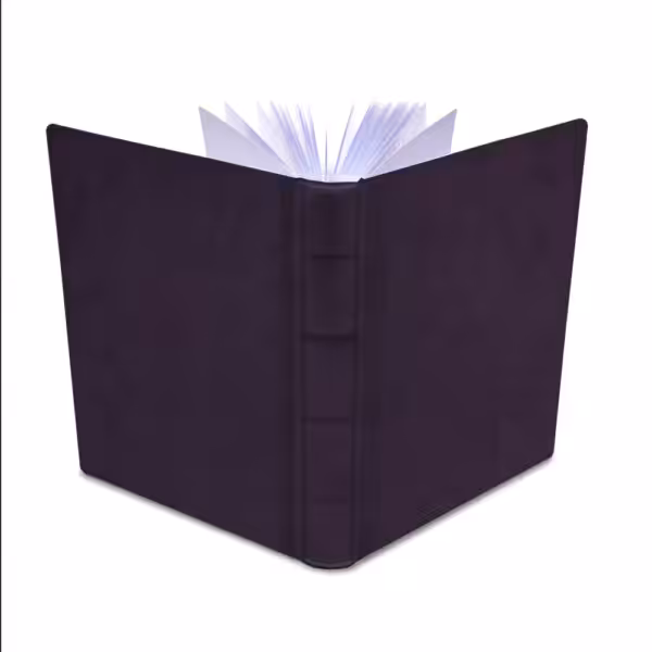 album na zdjęcia wsuwane | skóra galanteryjna | śliwkowy