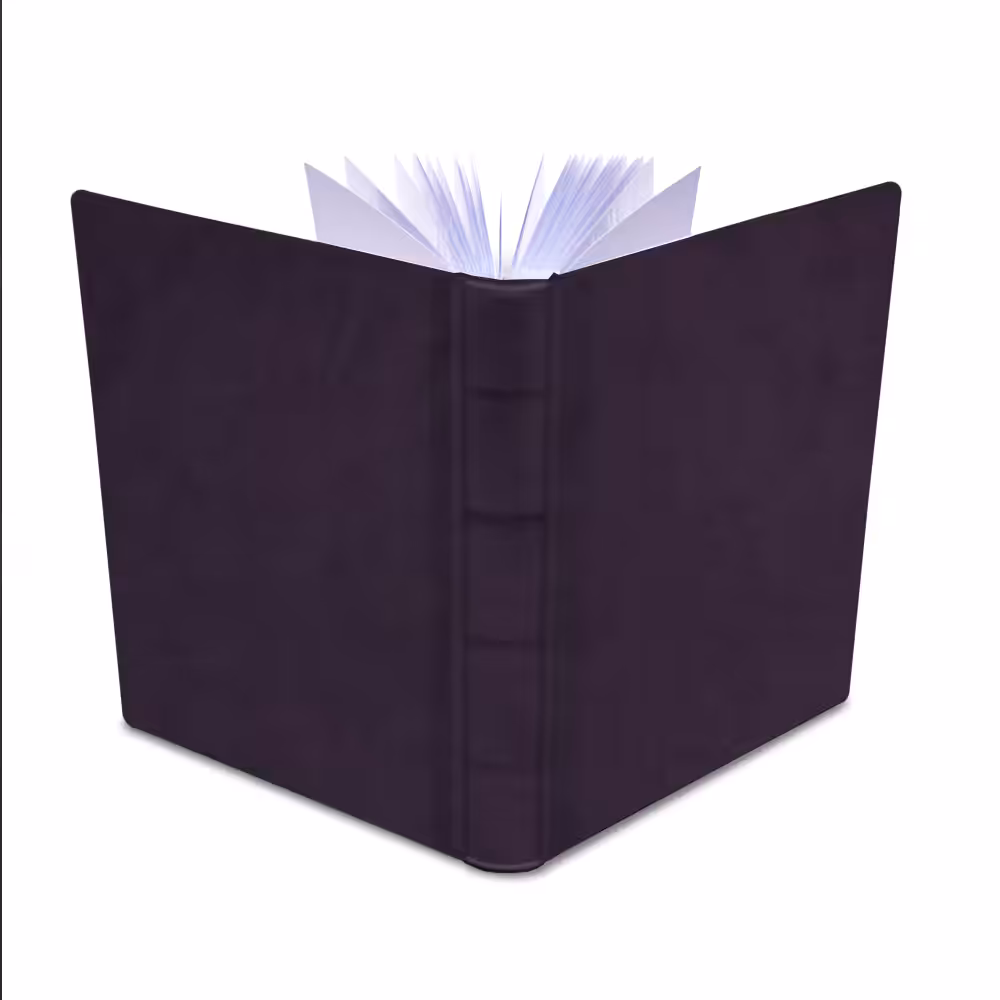 album na zdjęcia wsuwane | skóra galanteryjna | śliwkowy