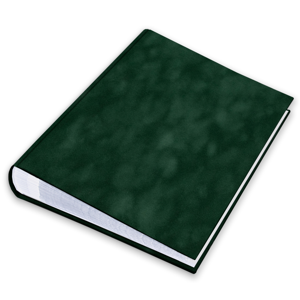 album na zdjęcia wsuwane | welur | butelkowy welur