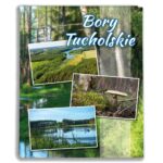 album na zdjęcia kieszeniowy, pamiątka z wakacji, bory tucholskie, polska