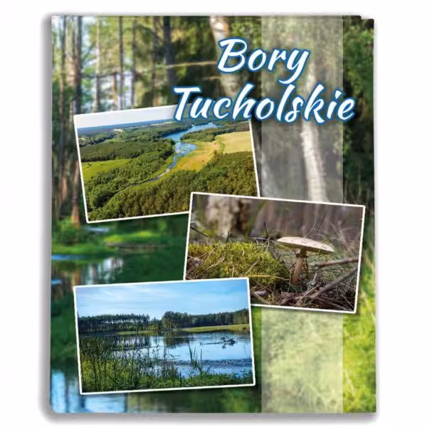 album na zdjęcia kieszeniowy, pamiątka z wakacji, bory tucholskie, polska