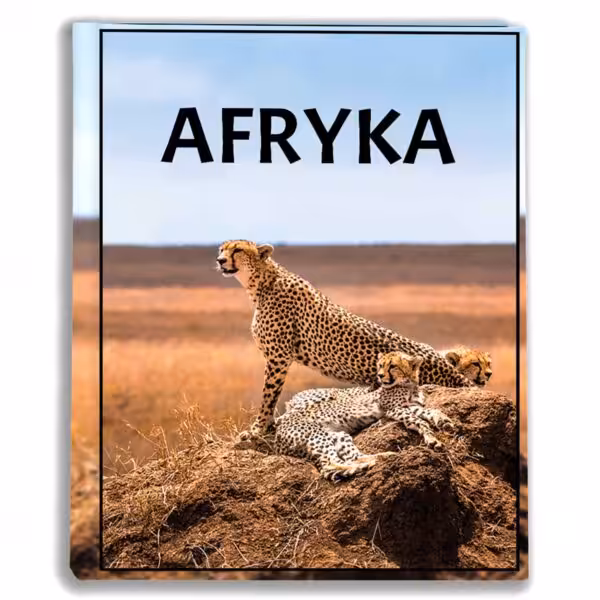 album na zdjęcia kieszeniowy, pamiątka z wakacji, gepard, afryka