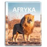 album na zdjęcia kieszeniowy, pamiątka z wakacji, afryka, lew