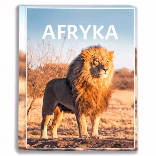 album na zdjęcia kieszeniowy, pamiątka z wakacji, afryka, lew