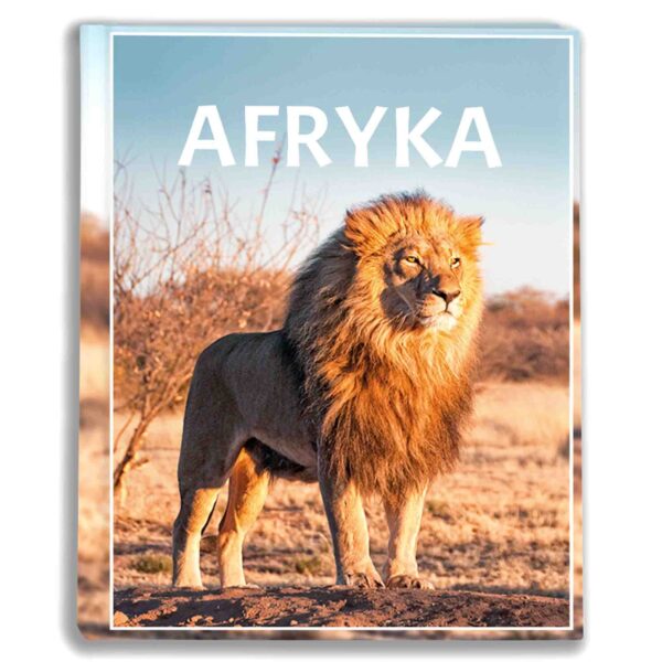 album na zdjęcia kieszeniowy, pamiątka z wakacji, afryka, lew