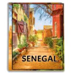 album na zdjęcia kieszeniowy, pamiątka z wakacji, afryka, senegal, dakar