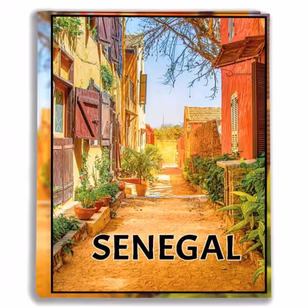 album na zdjęcia kieszeniowy, pamiątka z wakacji, afryka, senegal, dakar