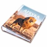 album na zdjęcia kieszeniowy, pamiątka z wakacji, afryka, lew
