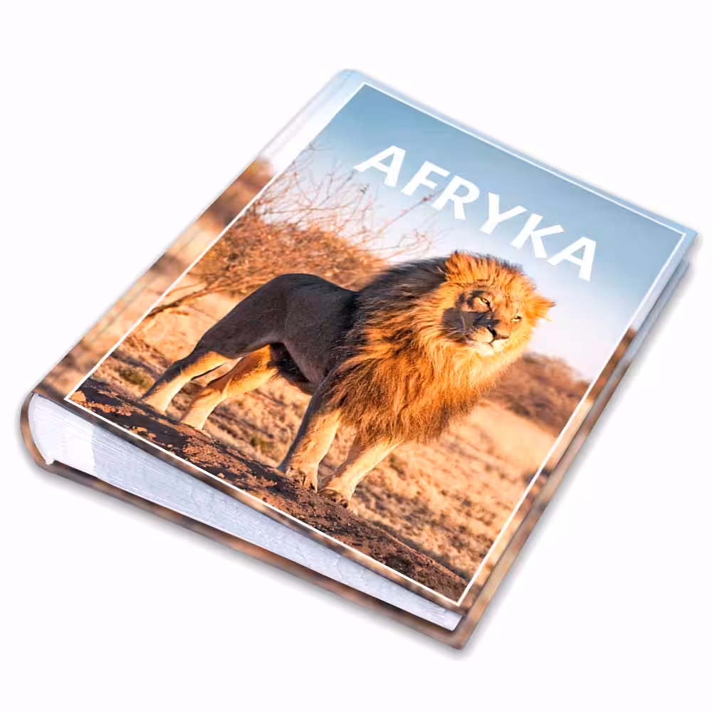 album na zdjęcia kieszeniowy, pamiątka z wakacji, afryka, lew