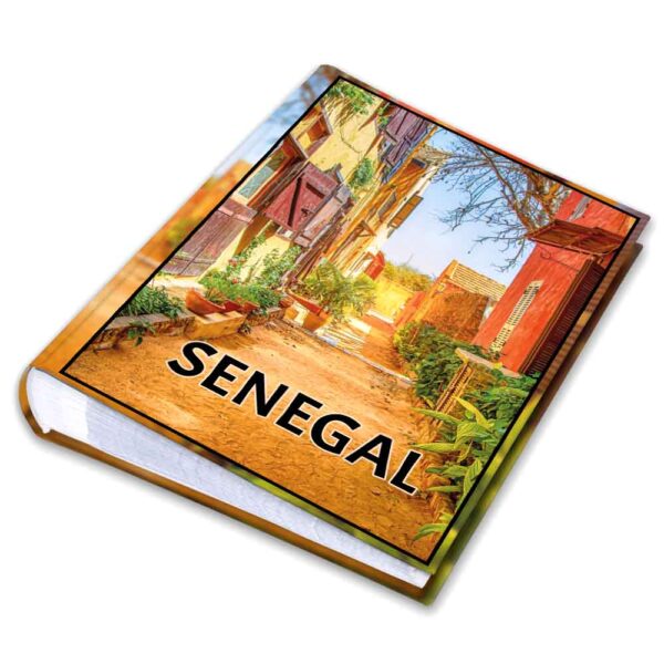 album na zdjęcia kieszeniowy, pamiątka z wakacji, afryka, senegal, dakar