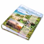 kieszeniowy album na zdjęcia, pamiątka z wakacji, afryka, madagaskar
