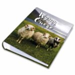 album na zdjęcia kieszeniowy, pamiątka z wakacji, europa, wyspy owcze