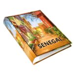 album na zdjęcia kieszeniowy, pamiątka z wakacji, afryka, senegal, dakar