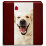 album dla psa - tradycyjny na zdjęcia wklejane - akrylfoto